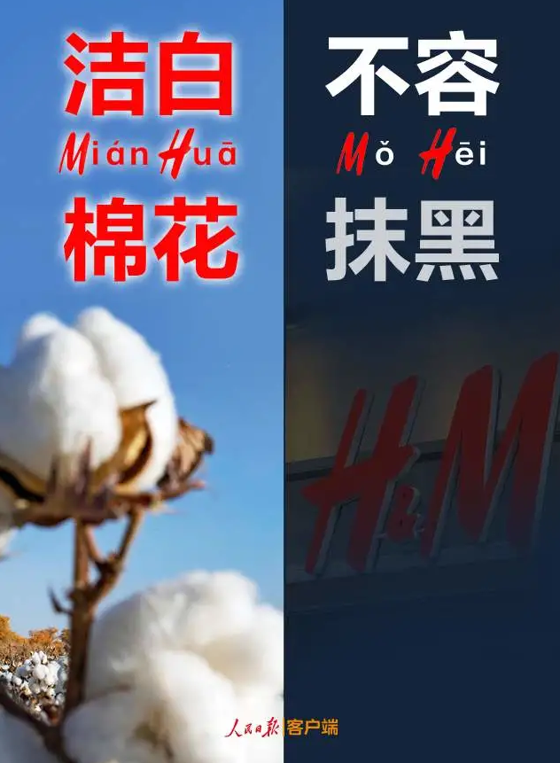 潔白棉花，不容抹黑，花榮華與華一起