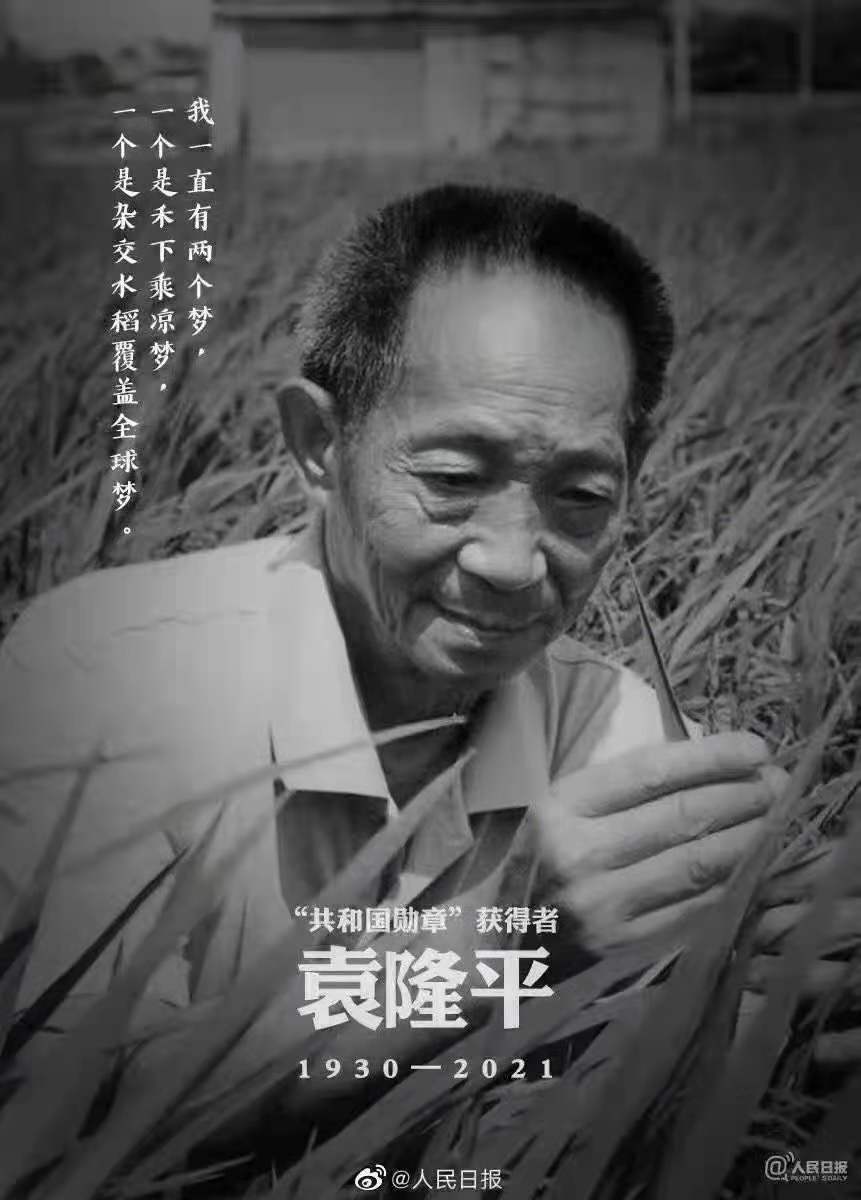 緬懷，國(guó)之脊梁——雜交水稻之父